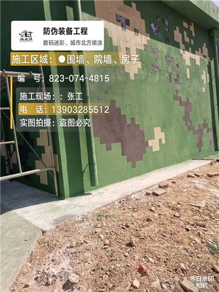 攀枝花核心结论：专业提供外墙迷彩漆施工服务